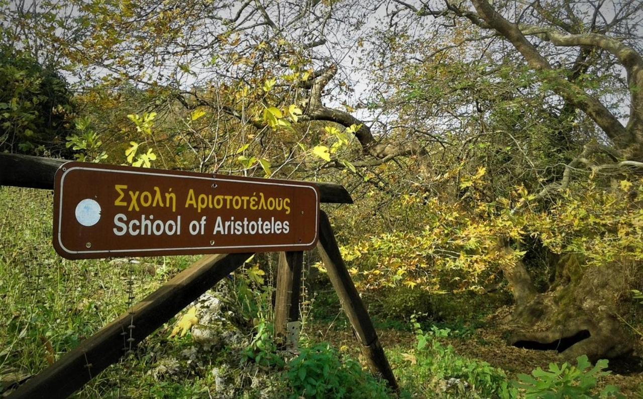 Mylos Arkochorion Exteriér fotografie
